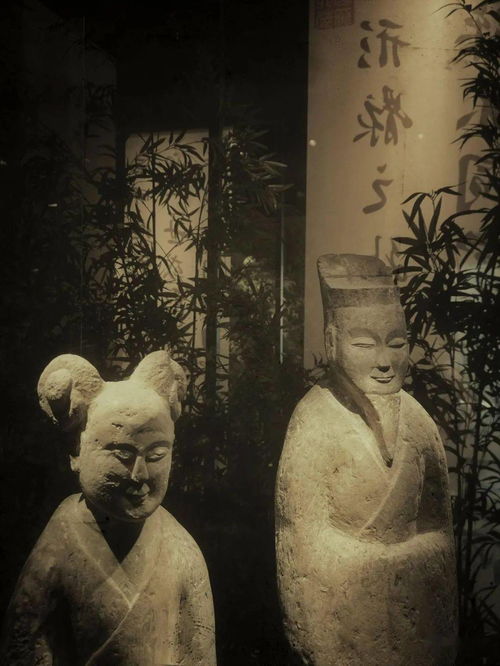光影詩(shī)篇，竹韻新生——南京六朝博物館的建筑美學(xué)與鋼筋材料的現(xiàn)代演繹