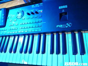 樂韜影音制作,專業(yè)音響器材設(shè)備租賃 音響出租 音樂制作 錄音制作,變魔術(shù)及氣球造型服務(wù),另設(shè)合適的唱歌舞臺(tái),歡迎夾band 唱歌